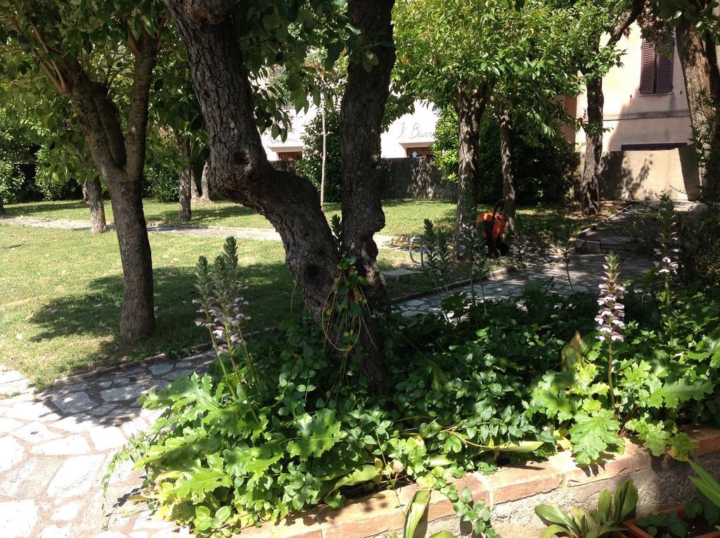 Montisi La Romita Ospitalita Rurale Familiareヴィラ エクステリア 写真